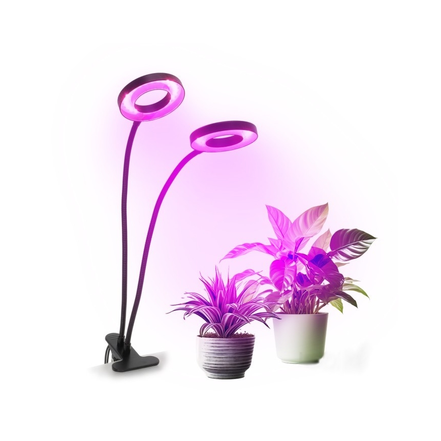 LED Ljusreglerad flexibel bordslampa med klämma för att odla växter VITARO 2xLED/4W/230V svart