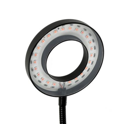 LED Ljusreglerad flexibel bordslampa med klämma för att odla växter VITARO 2xLED/4W/230V svart
