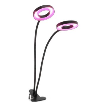 LED Ljusreglerad flexibel bordslampa med klämma för att odla växter VITARO 2xLED/4W/230V svart