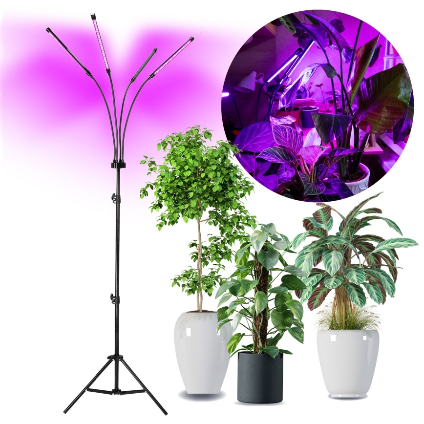 LED Ljusreglerad flexibel golvlampa för att odla växter VITARO 4xLED/7,5W/230V svart