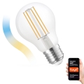LED Ljusreglerad glödlampa A60 E27/5W/230V 2700-6500K Wi-Fi Tuya