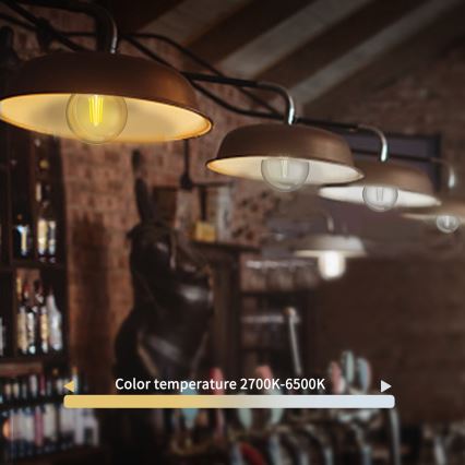 LED Ljusreglerad glödlampa FILAMENT G45 E14/4,5W/230V 2700-6500K Wi-Fi - Aigostar