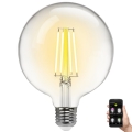 LED Ljusreglerad glödlampa FILAMENT MESH Smart G125 E27/6W/230V 2700-6500K - Aigostar