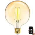 LED Ljusreglerad glödlampa FILAMENT MESH Smart G125 E27/6W/230V 2700-6500K - Aigostar