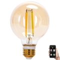 LED Ljusreglerad glödlampa FILAMENT MESH Smart G80 E27/6W/230V 2700-6500K - Aigostar