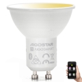 LED Ljusreglerad glödlampa GU10/6,5W/230V 2700-6500K - Aigostar