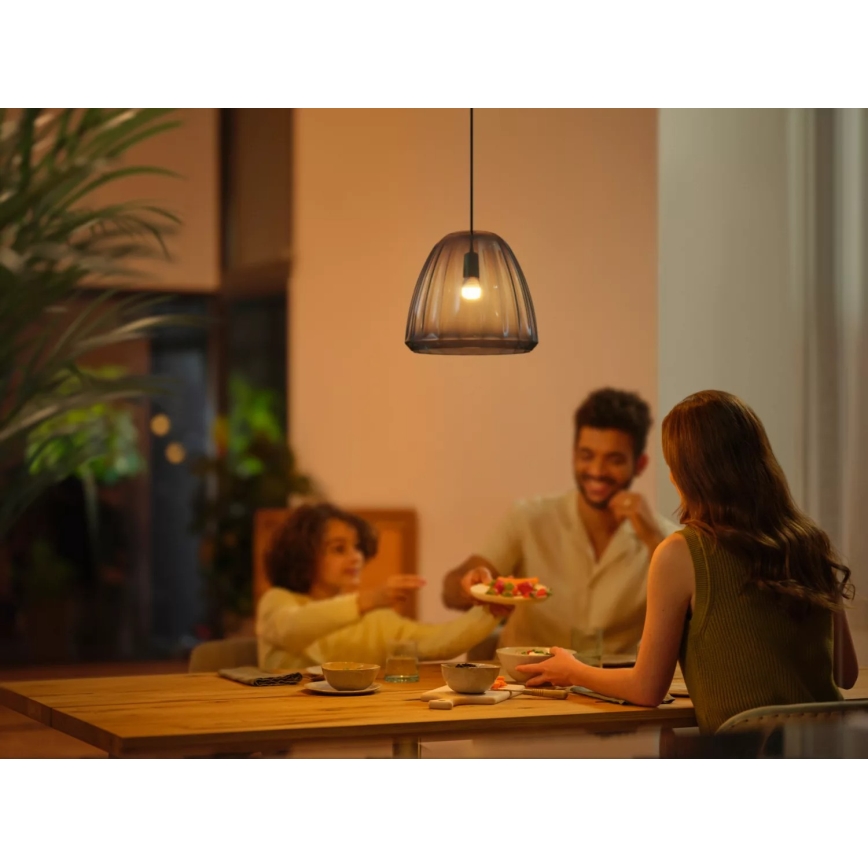 LED Ljusreglerad glödlampa Philips Hue WHITE AMBIANCE P45 E14/5,1W/230V 2200-6500K