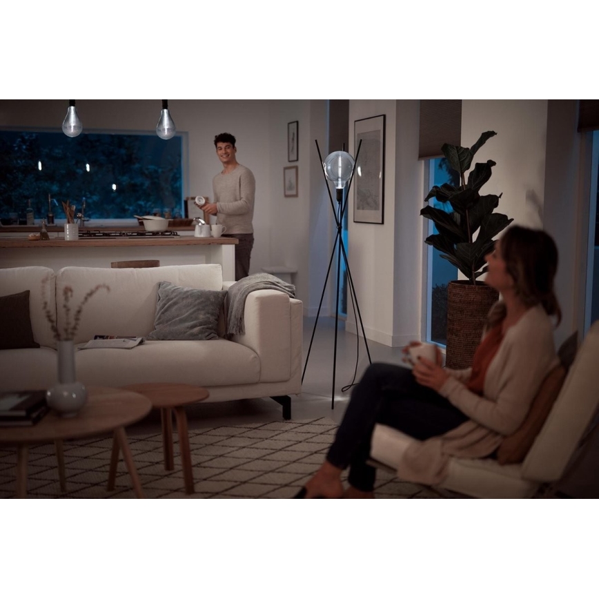 LED Ljusreglerad glödlampa SMOKY VINTAGE Philips E27/6,5W/230V 4000K