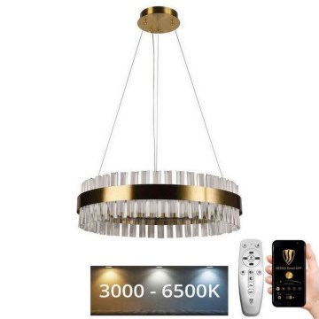 LED Ljusreglerad kristall ljuskrona på snöre LED/40W/230V 3000-6500K + fjärrkontroll