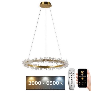LED Ljusreglerad kristall ljuskrona på snöre LED/40W/230V 3000-6500K guld + fjärrkontroll