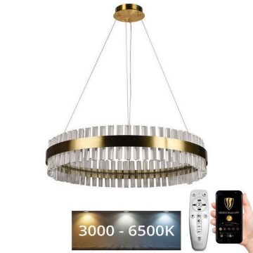 LED Ljusreglerad kristall ljuskrona på snöre LED/55W/230V 3000-6500K + fjärrkontroll