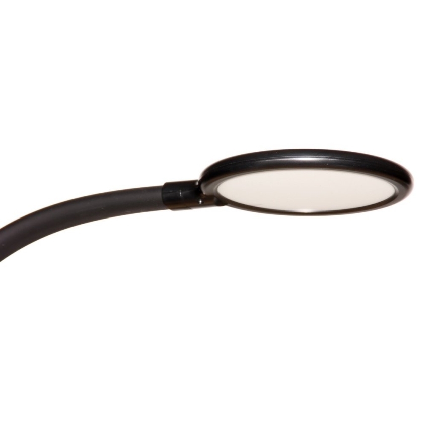 LED Dimbar touch-lampa 03.01.2001 LED/12W/230V svart CRI 90 + fjärrkontroll