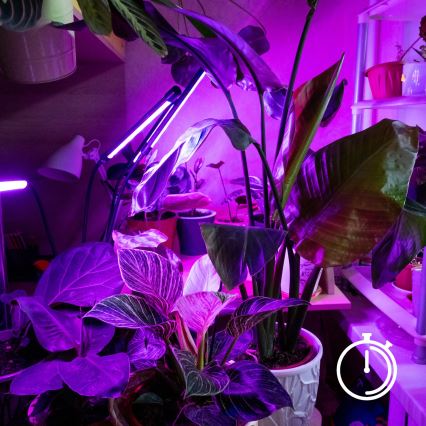 LED Ljusreglerad flexibel bordslampa med klämma för att odla växter VITARO 3xLED/10W/230V svart