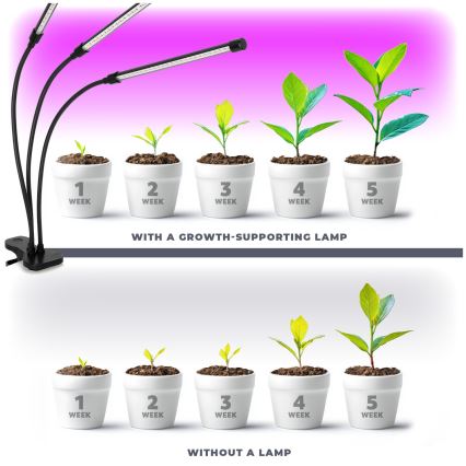 LED Ljusreglerad flexibel bordslampa med klämma för att odla växter VITARO 3xLED/10W/230V svart