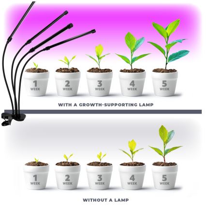 LED Ljusreglerad flexibel bordslampa med klämma för att odla växter VITARO 4xLED/10W/230V svart