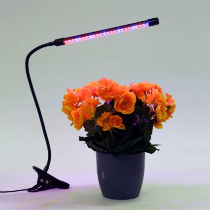 LED ljusreglerad lampa med klämma för växtbelysning LED/3W/230V svart