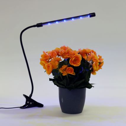 LED ljusreglerad lampa med klämma för växtbelysning LED/3W/230V svart