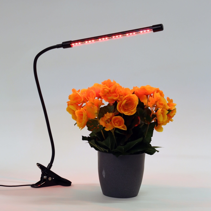 LED ljusreglerad lampa med klämma för växtbelysning LED/3W/230V svart