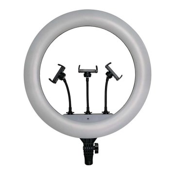 LED Ljusreglerad lampa med stativ och hållare för vloggning LED/55W/230V CRI 90 + fjärrkontroll