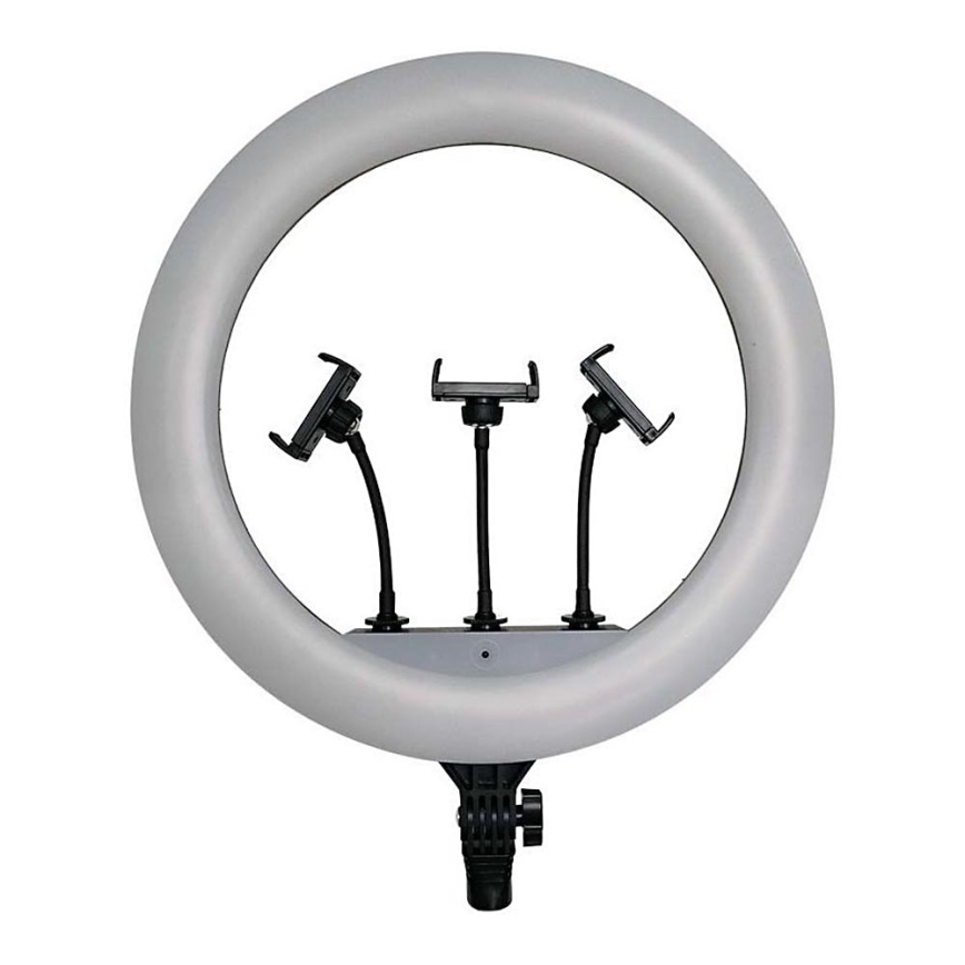 LED Ljusreglerad lampa med stativ och hållare för vloggning LED/55W/230V CRI 90 + fjärrkontroll