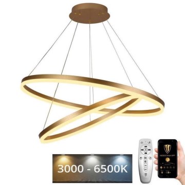 LED ljusreglerad ljuskrona på snöre LED/100W/230V 3000-6500K + fjärrkontroll