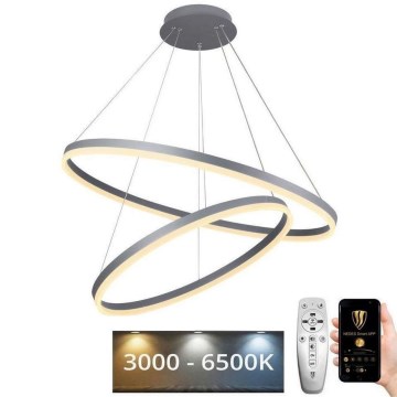 LED ljusreglerad ljuskrona på snöre LED/100W/230V 3000-6500K + fjärrkontroll