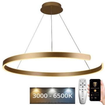 LED ljusreglerad ljuskrona på snöre LED/100W/230V 3000-6500K + fjärrkontroll