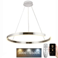 LED ljusreglerad ljuskrona på snöre LED/100W/230V 3000-6500K + fjärrkontroll