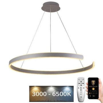 LED ljusreglerad ljuskrona på snöre LED/100W/230V 3000-6500K + fjärrkontroll