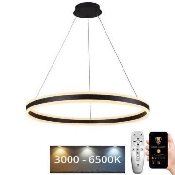 LED ljusreglerad ljuskrona på snöre LED/110W/230V 3000-6500K + fjärrkontroll