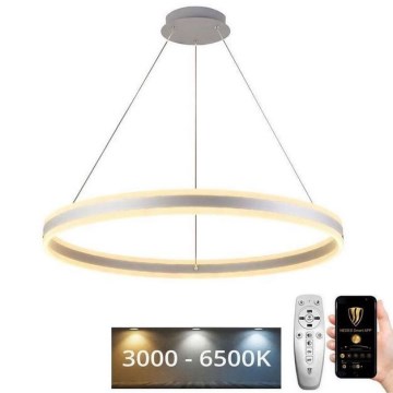 LED ljusreglerad ljuskrona på snöre LED/110W/230V 3000-6500K + fjärrkontroll