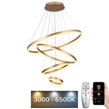 LED ljusreglerad ljuskrona på snöre LED/165W/230V 3000-6500K + fjärrkontroll