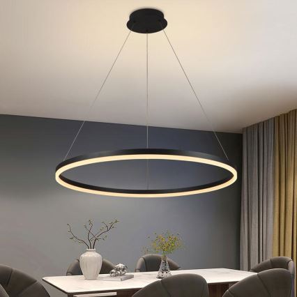 LED ljusreglerad ljuskrona på snöre LED/55W/230V 3000-6500K + fjärrkontroll