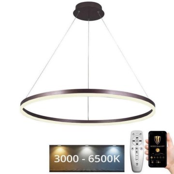 LED ljusreglerad ljuskrona på snöre LED/55W/230V 3000-6500K + fjärrkontroll