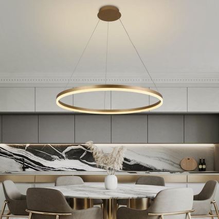 LED ljusreglerad ljuskrona på snöre LED/55W/230V 3000-6500K + fjärrkontroll
