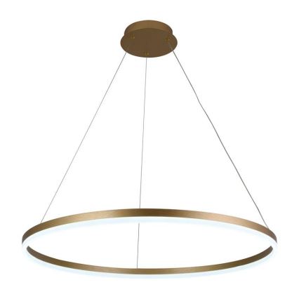 LED ljusreglerad ljuskrona på snöre LED/55W/230V 3000-6500K + fjärrkontroll