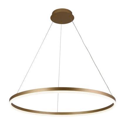 LED ljusreglerad ljuskrona på snöre LED/55W/230V 3000-6500K + fjärrkontroll
