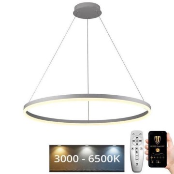 LED ljusreglerad ljuskrona på snöre LED/55W/230V 3000-6500K + fjärrkontroll