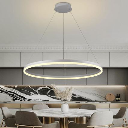 LED ljusreglerad ljuskrona på snöre LED/55W/230V 3000-6500K + fjärrkontroll