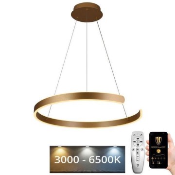 LED ljusreglerad ljuskrona på snöre LED/70W/230V 3000-6500K + fjärrkontroll