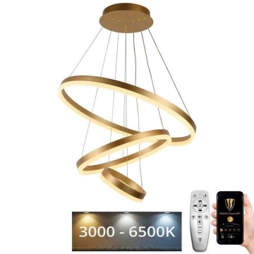 LED ljusreglerad ljuskrona på snöre LED/85W/230V 3000-6500K + fjärrkontroll
