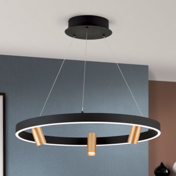 LED ljusreglerad ljuskrona på textilsladd BERLIN LED/50W/230V svart/guld