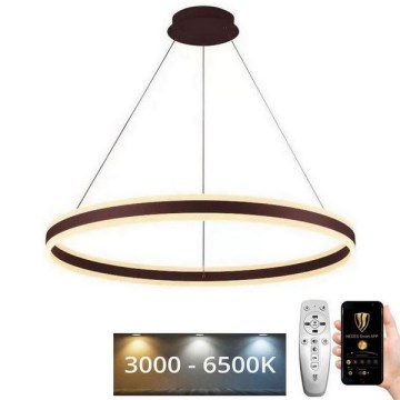 LED ljusreglerad ljuskrona på textilsladd LED/110W/230V 3000-6500K + fjärrkontroll
