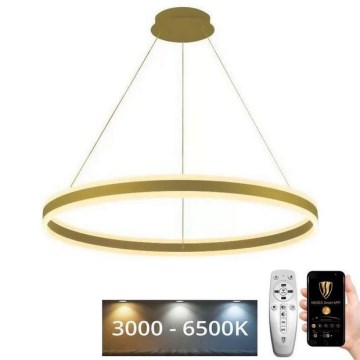 LED ljusreglerad ljuskrona på textilsladd LED/110W/230V 3000-6500K + fjärrkontroll