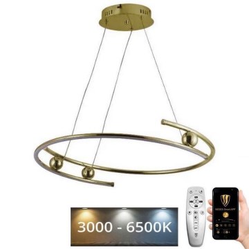 LED ljusreglerad ljuskrona på textilsladd LED/50W/230V 3000-6500K + fjärrkontroll