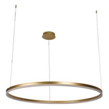 LED ljusreglerad ljuskrona på textilsladd LED/55W/230V 3000-6500K + fjärrkontroll