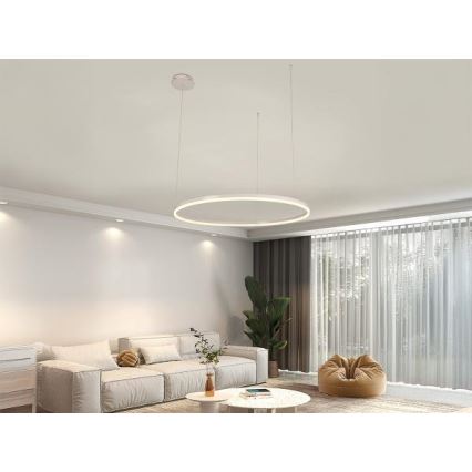LED ljusreglerad ljuskrona på textilsladd LED/55W/230V 3000-6500K + fjärrkontroll