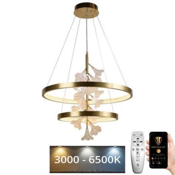 LED ljusreglerad ljuskrona på textilsladd LED/70W/230V 3000-6500K + fjärrkontroll