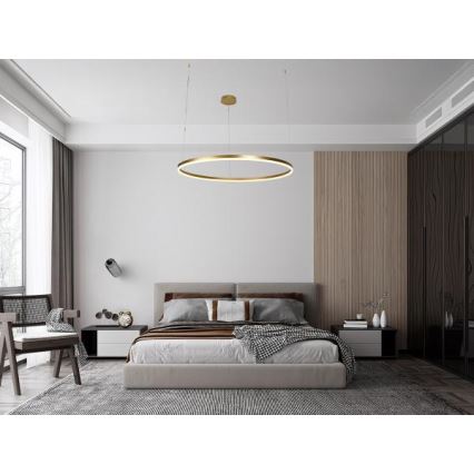 LED ljusreglerad ljuskrona på textilsladd LED/72W/230V 3000-6500K + fjärrkontroll