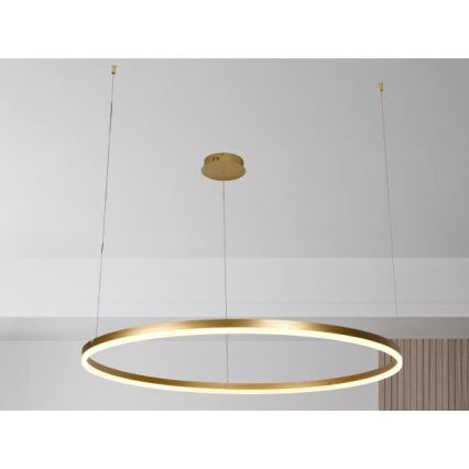 LED ljusreglerad ljuskrona på textilsladd LED/72W/230V 3000-6500K + fjärrkontroll